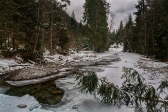 Картинка природа реки озера река лес