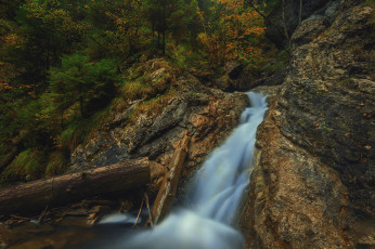 Картинка природа водопады лес река водопад