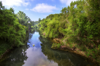 Картинка природа реки озера лес река