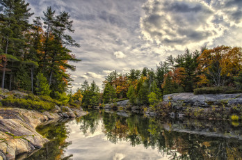 Картинка природа реки озера река лес