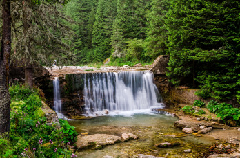 Картинка природа водопады водопад лес река