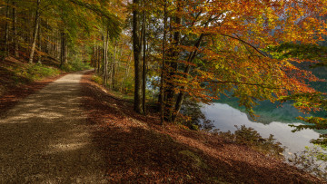 Картинка природа дороги тракт