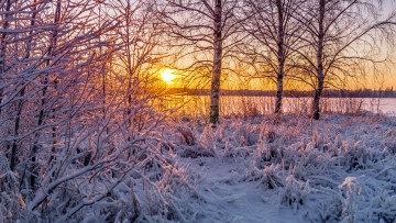 Картинка природа зима снег