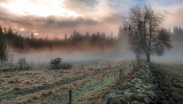 Картинка природа дороги тракт