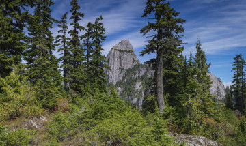 Картинка природа горы скалы