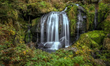 Картинка природа водопады водопад лес река