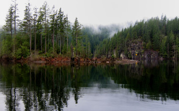 Картинка природа реки озера река лес