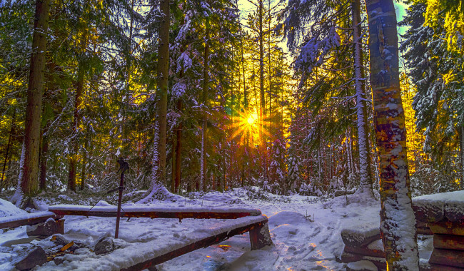 Обои картинки фото природа, зима, снег