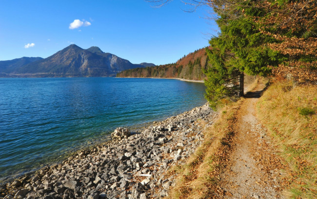 Обои картинки фото природа, реки, озера, камни, озеро, лес