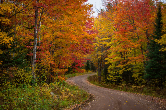 Обои картинки фото природа, дороги, тракт