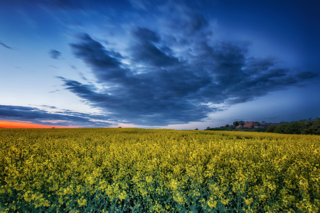 Обои картинки фото природа, поля, простор