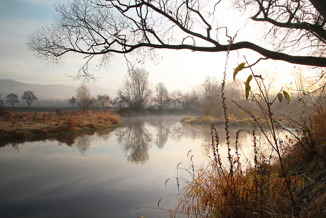 Обои картинки фото природа, реки, озера, лес, река