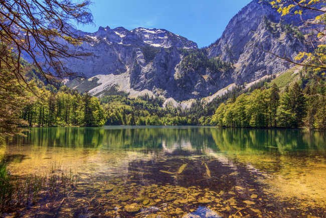 Обои картинки фото природа, реки, озера, лес, река