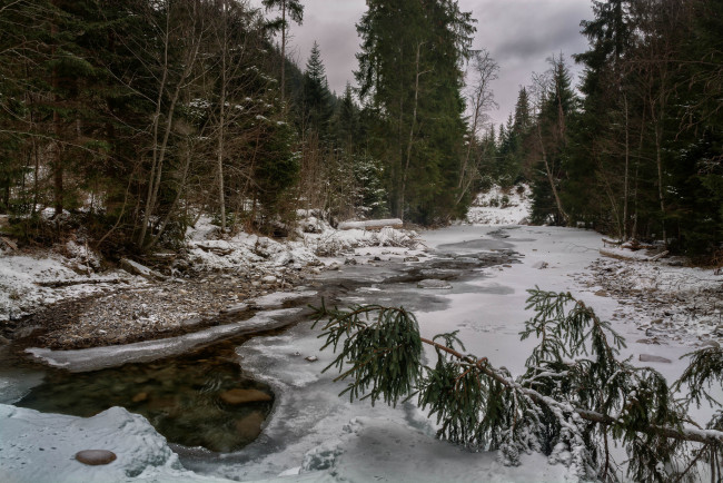 Обои картинки фото природа, реки, озера, река, лес