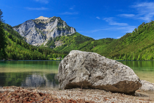 Обои картинки фото природа, реки, озера, река, лес