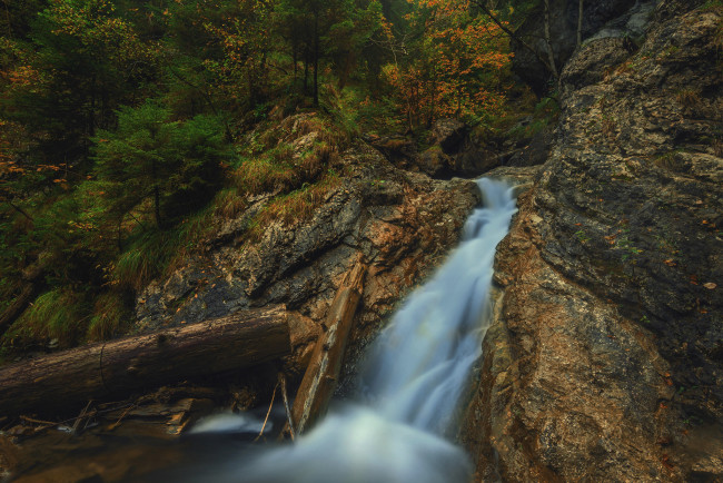 Обои картинки фото природа, водопады, лес, река, водопад