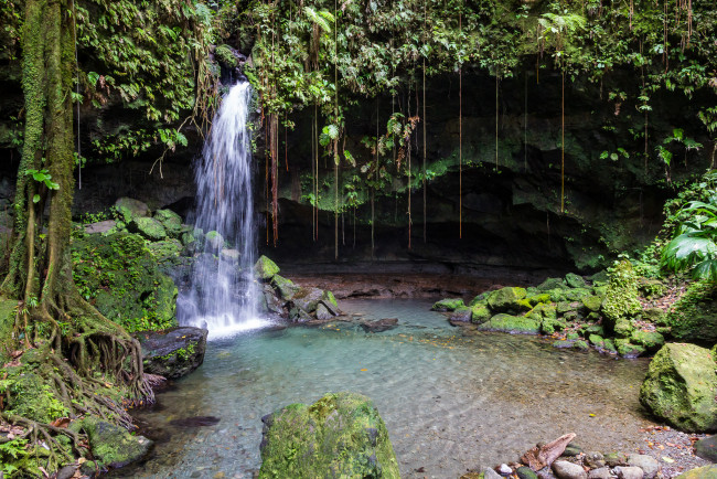 Обои картинки фото природа, водопады, лес, река, водопад