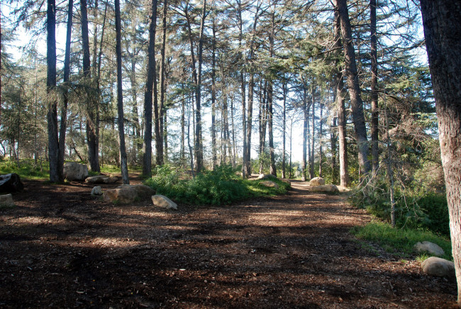 Обои картинки фото природа, дороги, тракт