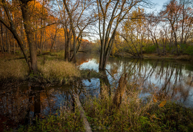 Обои картинки фото природа, реки, озера, река, лес