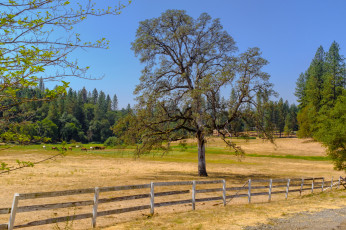 Картинка природа пейзажи простор