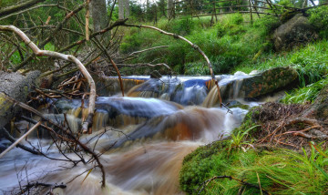 Картинка природа реки озера простор