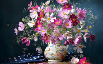 Картинка цветы космея букет