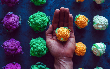 Картинка еда капуста+и+её+разновидности кочанчики капуста цветная