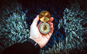 Картинка разное руки направление компас рука