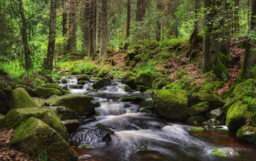 Картинка природа реки озера простор