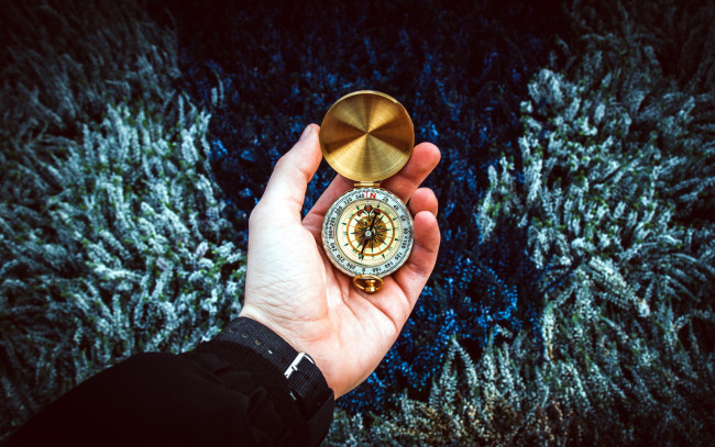 Обои картинки фото разное, руки, направление, компас, рука