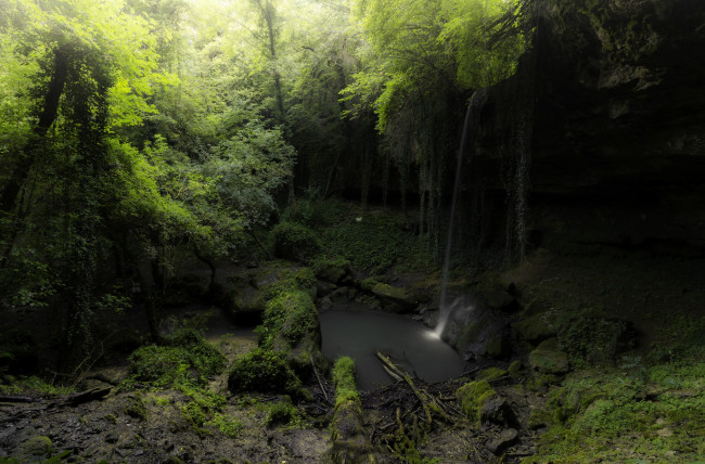 Обои картинки фото природа, лес, простор