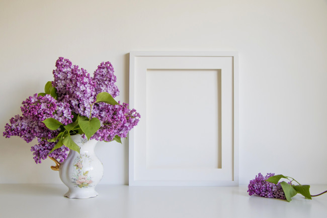 Обои картинки фото цветы, сирень, букет, рамка