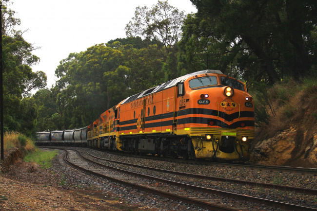 Обои картинки фото техника, поезда, состав, локомотив