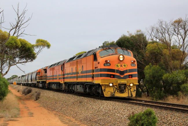 Обои картинки фото техника, поезда, состав, локомотив