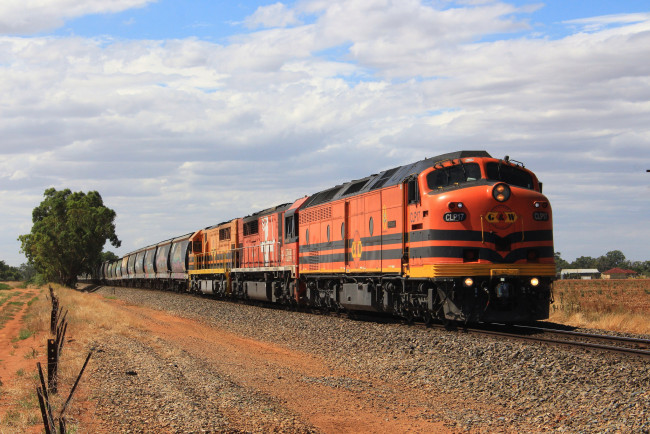 Обои картинки фото техника, поезда, состав, локомотив