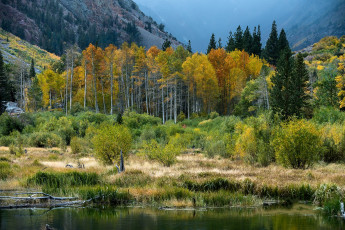 Картинка природа реки озера простор