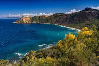 Картинка природа побережье простор