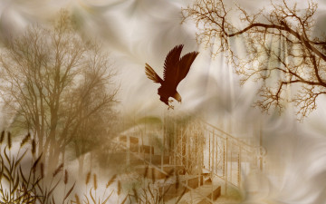 Картинка разное компьютерный+дизайн камыши деревья орел лестница