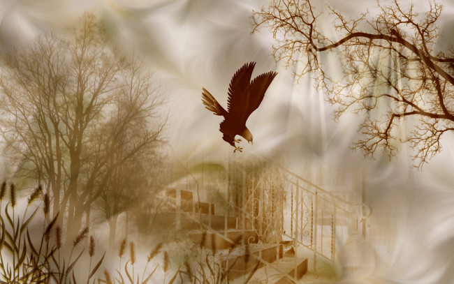 Обои картинки фото разное, компьютерный дизайн, камыши, деревья, орел, лестница