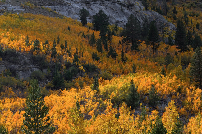 Обои картинки фото природа, пейзажи, простор