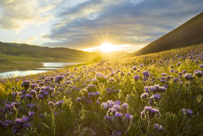 Обои картинки фото природа, восходы, закаты, простор