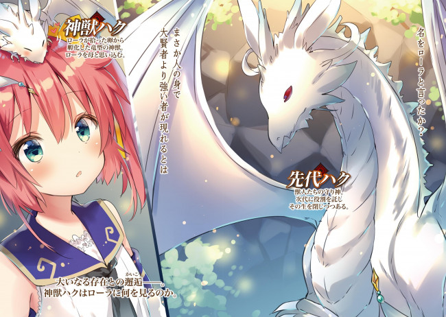 Обои картинки фото аниме, kenshi wo mezashite nyuugaku shita no ni mahou tekisei 9999 nan desu kedo, kenshi, wo, mezashite, nyuugaku, shita, no, ni, mahou, tekisei, 9999, nan, desu, kedo