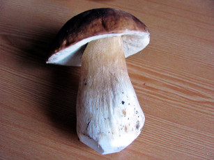 Картинка еда грибы +грибные+блюда боровик