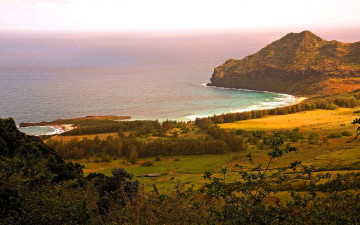 Картинка природа побережье море берег горы деревья луга