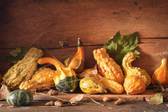 обоя еда, натюрморт, кабачки