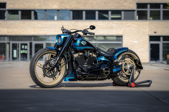 Обои картинки фото мотоциклы, harley-davidson, softail, fat, boy, customized, custombikes, half, hundred