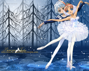 Картинка аниме princess tutu