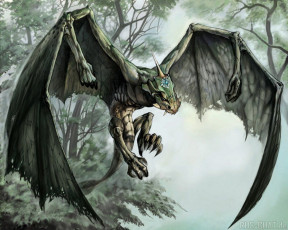 Картинка фэнтези драконы