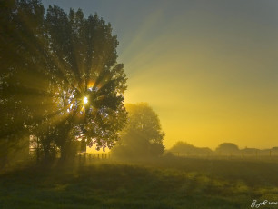 Картинка природа