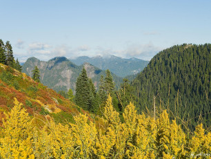 Картинка природа